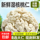 新鮮去皮生核桃仁 脫衣濕核桃原味無(wú)添加堅果食材 鮮核桃仁100克X5袋