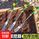 挖野菜神器挖蒜錳鋼小鏟子挖薺菜園藝鐵鏟種花挖土除草工具戶(hù)外鏟 蒲公英鏟子1把 挖野菜神器