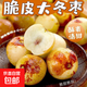 【脆甜多汁】新鮮采摘大荔冬棗當(dāng)季水果脆棗鮮棗青棗整箱包郵 帶箱2斤（單果8-12g）