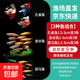 小型觀(guān)賞魚(yú)孔雀魚(yú)米奇魚(yú)斑馬魚(yú)白云金絲金苔鼠魚(yú)小型熱帶魚(yú)活體魚(yú) 為孔雀魚(yú)+斑馬魚(yú)各4條送魚(yú)食