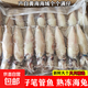 滿(mǎn)籽籽烏 小魷魚(yú)帶籽 全籽筆管新鮮魚(yú)墨魚(yú)滿(mǎn)籽海鮮源頭直采 魷魚(yú)帶籽10只 【2包裝】 700g(凈重)