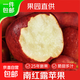 云南紅露蘋(píng)果冰糖心水果高維C低脂低卡無(wú)負擔輕食健康代餐脆甜 中大果100g+  含箱5斤【劃算】