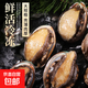 新鮮鮑魚(yú)超大海鮮水產(chǎn)冷凍特大干小鮑魚(yú)撈汁飯批發(fā)商用帶殼 新鮮鮑魚(yú)400g(22-26只左右)