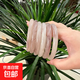 煙晚冰種手鐲中國(guó)風(fēng)手環(huán)高顏值可水洗超仙新中式輕奢首飾品女G 羅蘭(琉璃)條粗8毫米