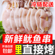 鐵板魷魚串燒烤串食材專用商用生鮮火鍋半成品冷凍海鮮水產(chǎn) 魷魚串*2袋 (370g/包）