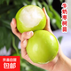大青棗苗臺灣大青棗苗樹(shù)苗牛奶棗蜜絲棗嫁接苗甜脆棗子苗當年結果 3年牛奶青棗苗一棵+肥