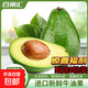 百果匯  秘魯牛油果新鮮大果微催熟100g起京東快遞直發(fā) 百果匯秘魯牛油果8粒裝