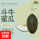 都知果斗牛蜜瓜綿密軟糯肉薄瓤少甜而不膩自然寧夏產(chǎn)地直發(fā) 2粒裝（凈重7-8斤）