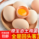 皖南高山鮮雞蛋竹林蛋蟲(chóng)草蛋新鮮現撿現發(fā)30-40g生鮮買(mǎi)菜早餐 50枚