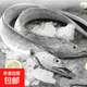 新鮮國產(chǎn)大段特大東海小眼帶魚(yú)中段冷凍野生刀魚(yú)海鮮整箱水產(chǎn)批發(fā) 整條帶魚(yú)AAA級6-8兩/條 五斤