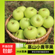 正宗青蘋(píng)果新鮮酸甜蘋(píng)果孕婦水果青蘋(píng)果脆爽多汁高山綠蘋(píng)果沐真 帶箱1斤