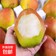陜西紅香酥梨香甜脆甜汁水充足果園直發(fā)鮮果 帶箱2斤小果（凈重1.6-1.8斤）