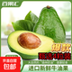 百果匯  秘魯牛油果新鮮大果微催熟100g起京東快遞直發(fā) 百果匯秘魯牛油果4粒裝