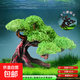 莫斯樹(shù)魚(yú)缸樹(shù)真樹(shù)沉木水草懶人造景無(wú)需底沙大蘑菇頭魚(yú)缸造景擺件 迎客松造型莫斯樹(shù)(推薦30-60缸）