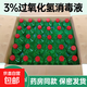 75酒精碘伏雙氧水消毒液乙醇家用殺菌皮膚物品清潔傷口速干500ml 雙氧水消毒液500ml 1瓶