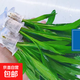 迷你九冠皇冠類新手水草好養(yǎng)耐活真水草活體植物鐵皇冠魚缸活植物 迷你皇冠5支（10厘米左右）送2個(gè)杯子
