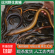 運河生態(tài)黃鱔鱔魚(yú)新鮮活魚(yú)現殺發(fā)貨土黃鱔長(cháng)魚(yú)去骨鱔片鱔絲鱔段 黃鱔400g*1盒【6-8條/盒】
