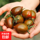 迷彩小番茄圣女果壽光現摘新鮮千禧果水果西紅柿鐵皮柿子孕婦零食 2斤（帶箱）