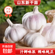 山東源頭產(chǎn)地新鮮干大蒜白皮大蒜農(nóng)家自種大蒜頭 (試用)大蒜 5頭 中果4-4.5厘米