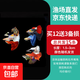 孔雀魚天使魚 純種觀賞魚淡水好養(yǎng)熱帶小型觀賞魚 孔雀魚12條送備損3條【發(fā)15條】