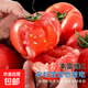 正宗沙瓤西紅柿水果番茄自然熟新鮮蔬菜生鮮減肥 2斤 帶箱