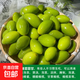 新鮮青橄欖新鮮水果嫩橄欖泡酒泡茶煲湯現摘現發(fā)【生吃不推薦】 凈重5斤