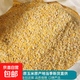 玉米碎喂雞玉米粒雞飼料苞米茬子玉米碴養雞釣魚(yú)鴨鵝糧食五谷雜糧 玉米碎50斤