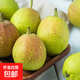 正宗新疆庫(kù)爾勒香梨酥脆可口香甜無渣新鮮水果包郵幫農(nóng) 帶箱4斤