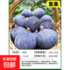 無(wú)花果樹(shù)果苗帶果矮化盆栽特大果波姬紅金傲芬斯特拉無(wú)花果苗樹(shù)苗 格萊斯6年苗當年結果（帶土帶葉發(fā)貨） 81cm(含)-110cm(含)