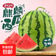 大西北 美都麒麟西瓜  紅沙瓤 嘎嘎甜 麒麟西瓜8斤-10斤