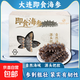 榭巢金選大連即食海參500g 野生遼參 獨立包裝抽真空 高檔白金級 大連即使海參9-11頭/斤禮盒裝 1盒