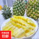 海南冬蜜鳳梨臺農(nóng)13號應(yīng)季新鮮水果包郵整箱青皮鳳梨甘蔗鳳梨 臺農(nóng)13號-冬蜜鳳梨 中果：1-1.5斤 1粒裝