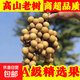 【現(xiàn)摘現(xiàn)發(fā)】正宗廣西合浦石硤龍眼新鮮水果應季現(xiàn)貨頭茬果保鮮 紙箱+泡沫箱+保溫膜加冰袋 鎖鮮帶枝8.5斤裝