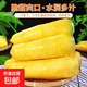 新鮮金黃胡蘿卜  手抓飯伴侶 黃胡蘿卜 含箱500g