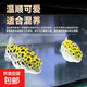 活體河豚觀(guān)賞魚(yú)娃娃潛水艇淡水熱帶小魚(yú)寵物 潛水艇生氣包5條+1條備損 3-4cm