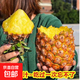 海南金鉆鳳梨新鮮水果生鮮手撕鳳梨臺農17號青皮黑金鳳梨 非菠蘿 【中果】帶箱9-10斤單果650g+
