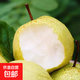 安徽正宗碭山酥梨酥脆水果香梨脆雪梨碭山特產(chǎn)桃園 帶箱4斤凈重3.5斤+