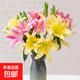 【香水百合】特價(jià)鮮花云南直發(fā)家用水養(yǎng)插花束七夕送禮物好養(yǎng)香味 隨機(jī)香水百合混色6朵 優(yōu)質(zhì)百合