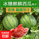 【西瓜套餐】西瓜種子西瓜陽臺(tái)盆栽農(nóng)家田園瓜種大全各種各樣 冰糖麒麟西瓜種子1包約50粒