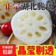 2025年湖北頭茬洪湖蓮藕新鮮脆藕 涼拌清炒新鮮蔬菜 2斤小脆藕（1斤1-3根）
