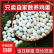 農(nóng)家雞蛋綠殼烏雞生鮮土雞蛋溏心蛋超市新鮮早餐整箱鮮雞蛋批發(fā) 寶寶聰明土雞蛋60枚/箱