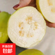 白心芭樂 番石榴 可做拌水果本地當(dāng)季新鮮水果白心脆甜 白心芭樂凈重3斤150g+