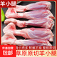 原切正宗灘羊羊小腿羊腱子新鮮羊腿羊肉兒童夏季火鍋生鮮食材批發(fā) 5斤 原切羊小腿