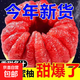 正宗平和琯溪紅心蜜柚爆甜多汁現摘現發(fā)紅心柚子-果樂(lè ) 精品紅心蜜柚7-8斤（2-4個(gè)）