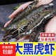 活凍超大黑虎蝦2斤裝海捕大蝦戶(hù)外燒烤海船魚(yú)味 黑虎蝦（30-40只）【熱銷(xiāo)】 2斤(凈重)