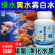 高級(jí)凈水片凈水王魚(yú)缸水族箱凈化水渾濁綠水臟除腥臭味過(guò)濾免換水 五瓶裝【去除腥臭+凈水質(zhì)】安全無(wú)毒