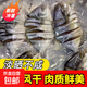 廣東正宗淡曬海魚金鯧魚魚干干貨海鮮小魚干干魚真空金鯧魚金倉魚 2條金鯧魚干（6-7成干）嘗鮮 150g-200g