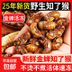 【大廠貨源】野生大個(gè)金蟬新鮮知了猴大鮮活金蟬爬叉新鮮速凍 2斤裝（180-200個(gè)） 金蟬/知了猴