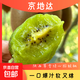 陜西翠香獼猴桃綠心獼猴桃奇異果香甜 5枚裝單果70g-90g
