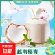 越南進(jìn)口椰青單果850g以上奧英 當(dāng)季新鮮水果 贈開椰器和吸管 1粒嘗鮮 單果850g+